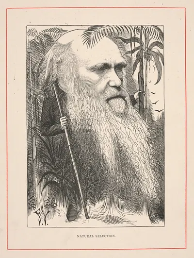 Естественный отбор [Чарльз Дарвин] by Фредерик Уэдди, 1873 — digital art print download