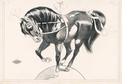 Лошадь, балансирующая на сфере by Рассел, Морган и Ко, 1900 — digital art print download