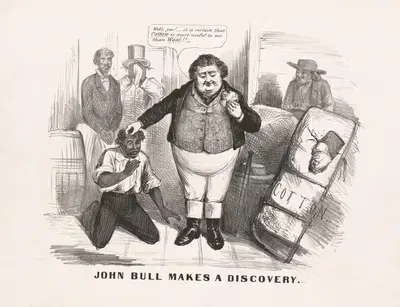 John Bull makes a discovery by Currier & Ives., 1862 — digital art print download