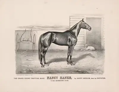 The grand young trotting mare Nancy Hanks, by Happy Medium, dam by Dictator by John Cameron, 1890 — digital art print…