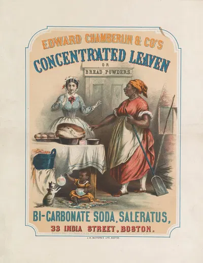 Edward Chamberlin & Co's concentrated leaven or bread powders by Джон Х. Баффорд и сыновья, 1860 — digital art print download