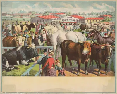 Скоты, лошади и люди на ярмарке с конюшнями на заднем плане by Рассел, Морган и Ко, 1891 — digital art print download