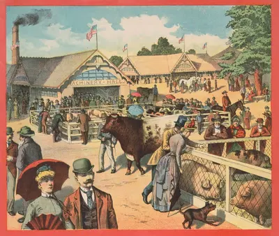 Люди, наблюдающие за свиньями, скотом и овцами by Рассел, Морган и Ко, 1890 — digital art print download