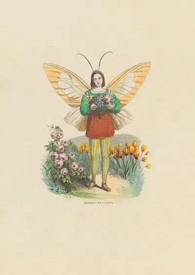Le triomphe de cypris by Amédée Varin, 1852 — digital art print download