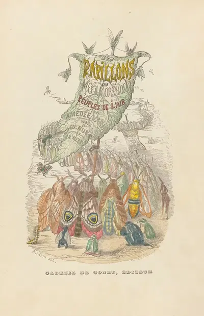 Les papillons, ou metamorphoses terrestres des peuples de l'air by Amédée Varin, 1852 — digital art print download