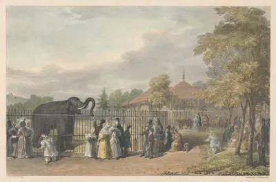 Зоологические сады, Риджентс Парк by Джордж Иоганн Шарф, 1835 — digital art print download