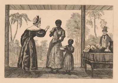 Чистка в Луизиане by Огюст Эрвье, 1836 — digital art print download