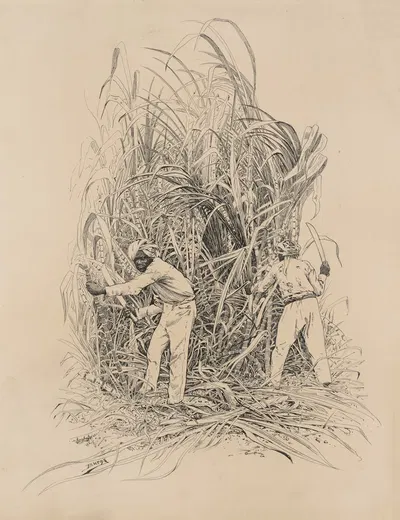 Хинду, резка тростника by Милтон Дж. Бернс, 1882-1886 — digital art print download
