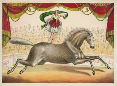 The scarf act by Gibson & Co. Lith, 1874 — digital art print download