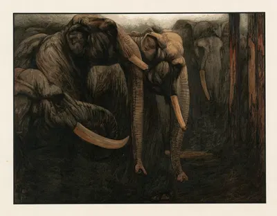 Elephant dance by Charles Maurice Detmold, 1903 — digital art print download
