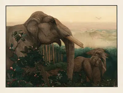 Тумаи слонов by Чарльз Морис Детмольд, 1903 — digital art print download