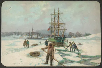 Polar motif by Hjalmar Johnssen — digital art print download