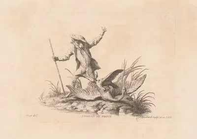 Птица Проя by Жан Батист Гюлар, 1733-1792 — digital art print download