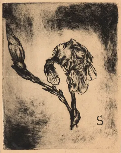 Синий ирис by Бланш Дерус, 1900 — digital art print download