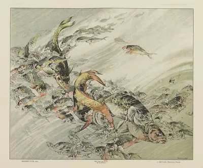Декоративные фантазии Пл.08 by Жюль Хабер-Ди, 1886-1887 — digital art print download