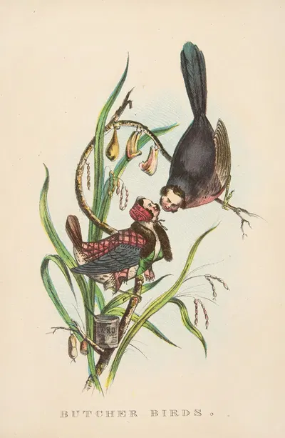 Птицы-убийцы by Генри Луис Стивенс, 1851 — digital art print download
