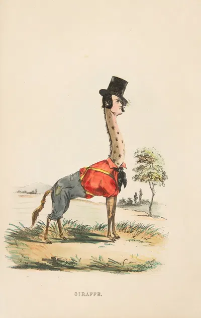 Жираф (Джон Е. Оуэнс в роли Джейки) by Генри Луис Стивенс, 1851 — digital art print download