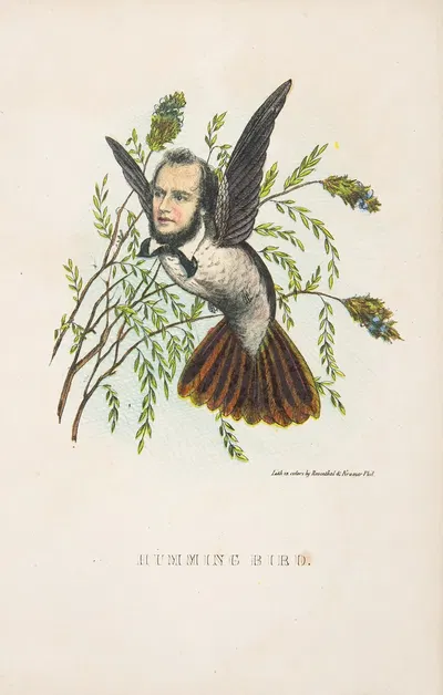 Колибри (Томас Б. Флоренс) by Генри Луис Стивенс, 1851 — digital art print download