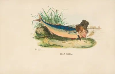 Мак-Арел by Генри Луис Стивенс, 1851 — digital art print download