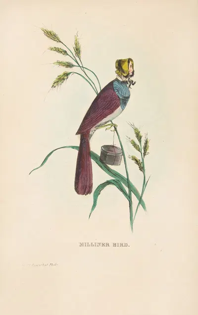 Шляпница Птица (Минни Дойл) by Генри Луис Стивенс, 1851 — digital art print download