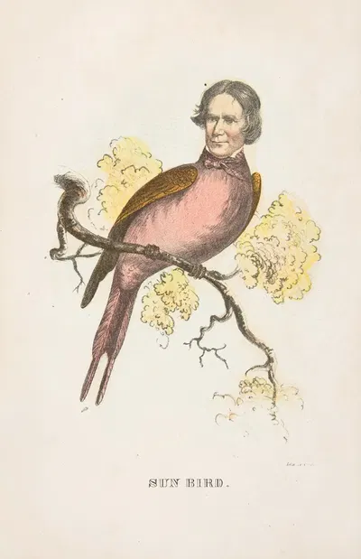 Солнечная птица (Джеймс С. Уоллес) by Генри Луис Стивенс, 1851 — digital art print download