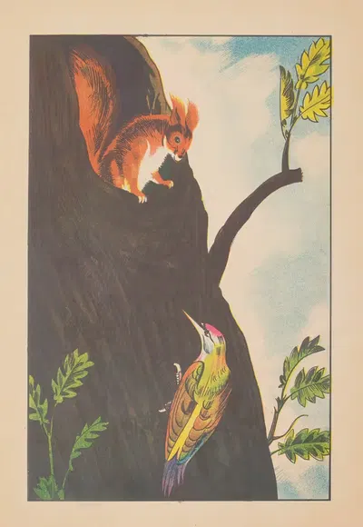 Белочки Пл.3 by Дж. Хурвиц, 1936 — digital art print download