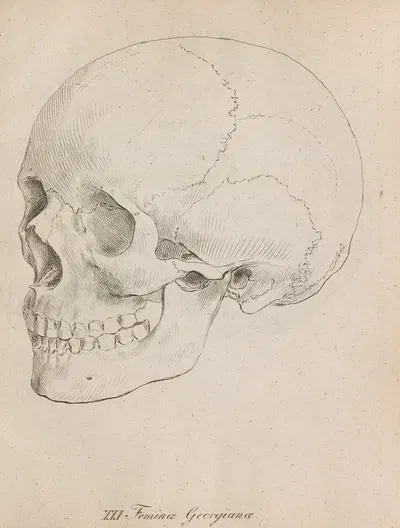 Женщины-грузины by Иоганн Фридрих Блуменбах, 1828 — digital art print download