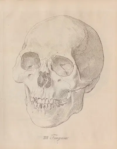 Тунгусы by Иоганн Фридрих Блуменбах, 1828 — digital art print download