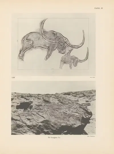 Ekade Ektab die Felsbilder Fezzans Pl.12 by Leo Frobenius, 1937 — digital art print download