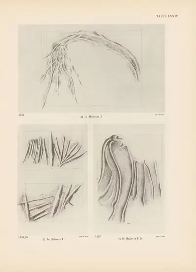 Ekade Ektab die Felsbilder Fezzans Pl.68 by Leo Frobenius, 1937 — digital art print download