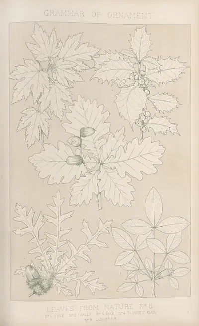 Leaves from Nature No. 5 by Owen Jones, 1856 — digital art print download