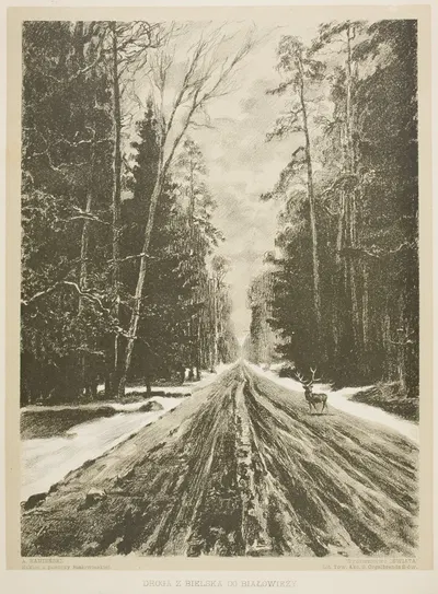 Дорога из Бельска в Беловежу by Антоний Каменьский, 1912 — digital art print download