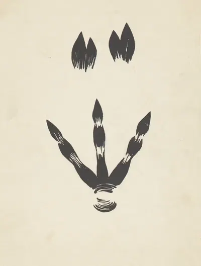Следы свиньи и казуара by Ф. Окерс, 1936 — digital art print download