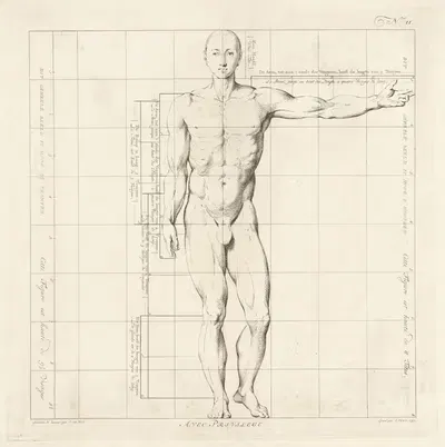 Proportional study of a man's body by Jan Punt, 1747 — digital art print download