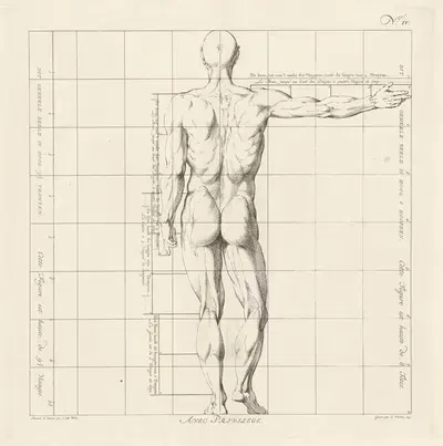 Proportional study of a man's body by Jan Punt, 1747 — digital art print download