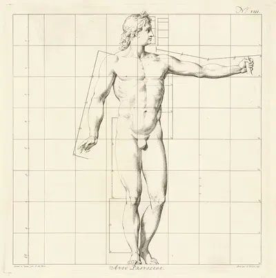 Proportional study of the body of Apollo Belvedere by Jan Punt, 1747 — digital art print download