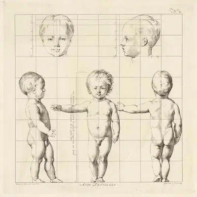 Proportional study of a child's body by Jan Punt, 1747 — digital art print download