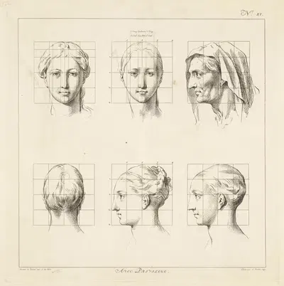 Proportional studies of women's heads by Jan Punt, 1747 — digital art print download
