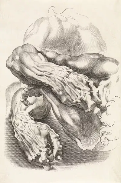 Анатомические исследования рук by Паулюс Понтий, 1616 - 1657 — digital art print download
