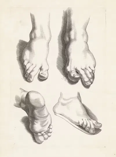 Изучение ног by Паулюс Понтий, 1616 - 1657 — digital art print download