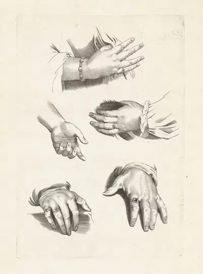 Изучение рук by Паулюс Понтий, 1616 - 1657 — digital art print download