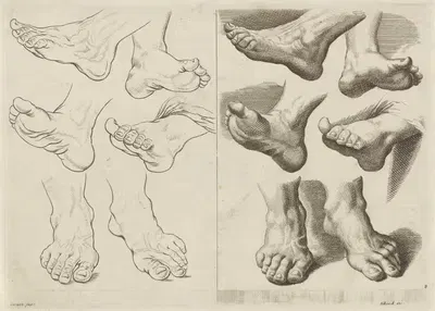 Study of various feet by Peter Schenk the Elder, 1675 - 1711 — digital art print download