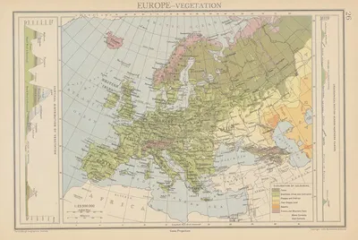 Europe, Vegetation by John George Bartholomew, 1942 — digital art print download