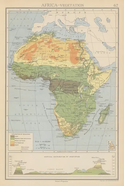 Africa, Vegetation by John George Bartholomew, 1942 — digital art print download