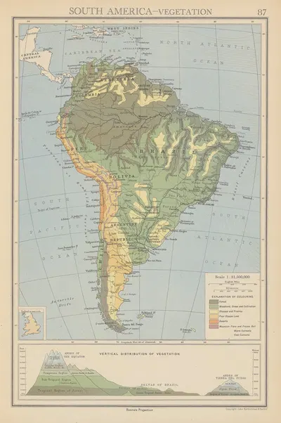 South America, Vegetation by John George Bartholomew, 1942 — digital art print download