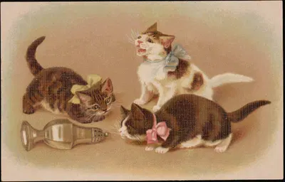 Three cats playing with a silver dish by G.O.M, 1913-1924 — digital art print download
