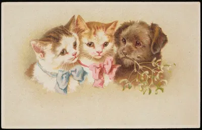 Two kittens with bows and a dog with a sprig of mistletoe in its mouth by G.O.M, 1913-1924 — digital art print download