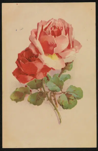 Красные розы by Хефнер К. и Бергер Дж., 1947 — digital art print download
