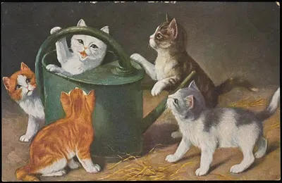 Котята, играющие с лейкой by О.Г.З.-Л — digital art print download