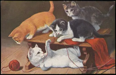 Cats playing with knitting and a ball of wool by O.G.Z.-L — digital art print download